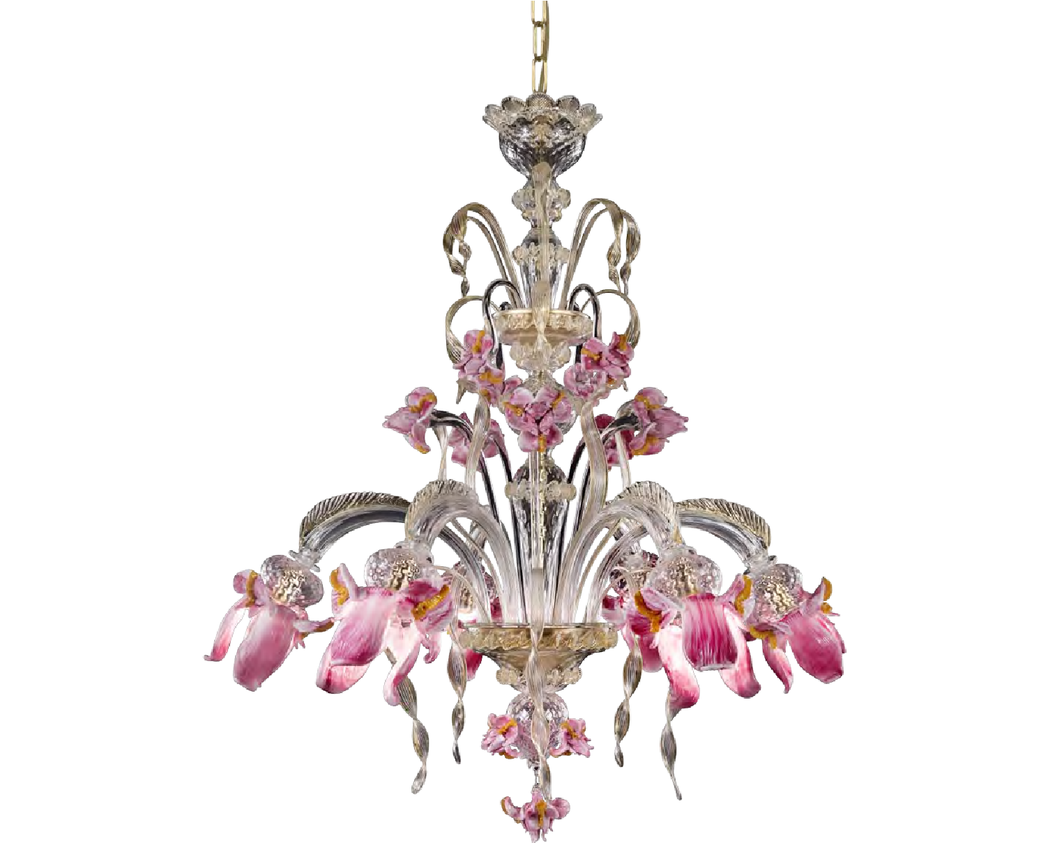 Iris  /  S0267-6-CKRZ 